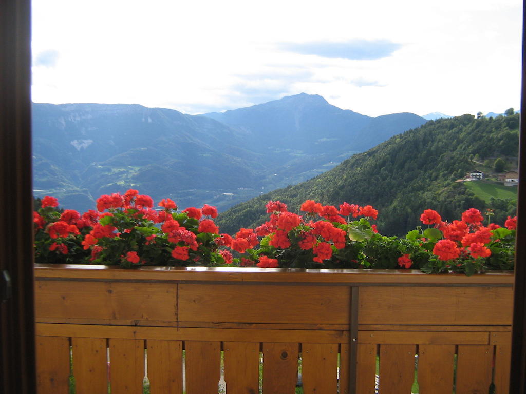 Pitterle Hof Villa Meltina Cameră foto